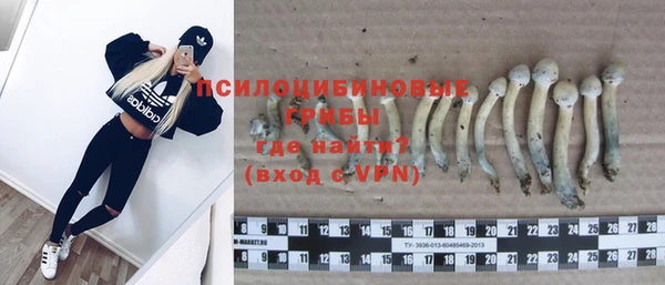 гашик Дмитровск