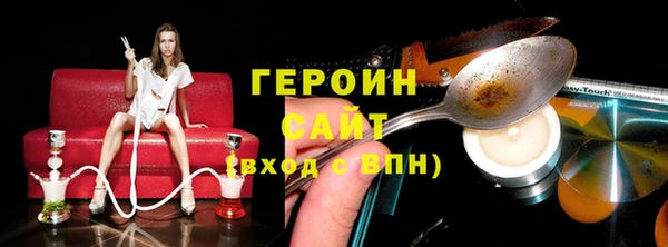 индика Дмитриев