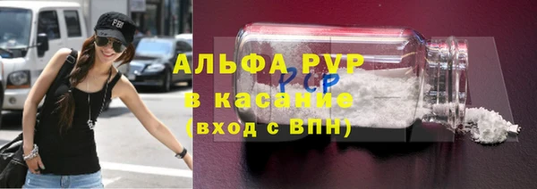 индика Дмитриев