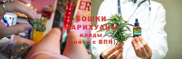 гашик Дмитровск