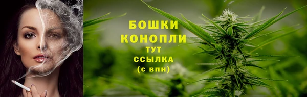 индика Дмитриев
