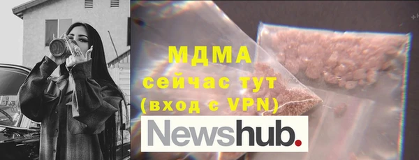 индика Дмитриев