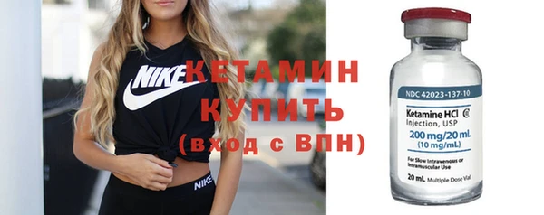 индика Дмитриев
