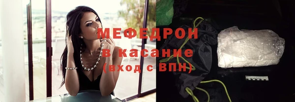 индика Дмитриев