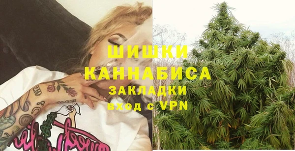 индика Дмитриев
