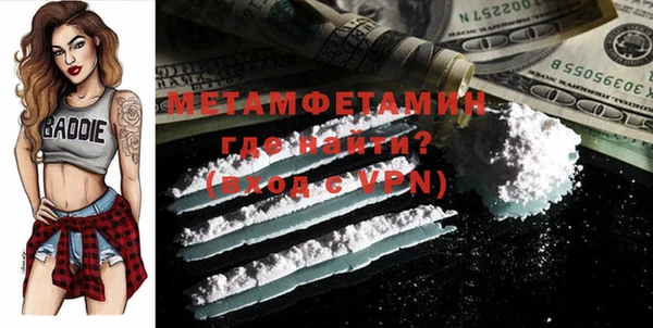 индика Дмитриев