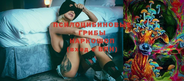 гашик Дмитровск