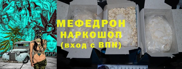 индика Дмитриев