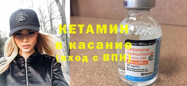 индика Дмитриев