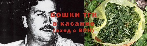 мет Дмитров