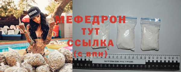 индика Дмитриев