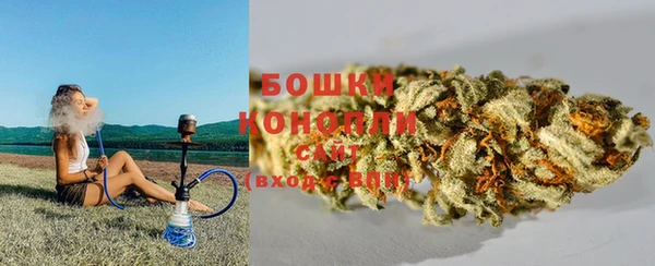 гашик Дмитровск