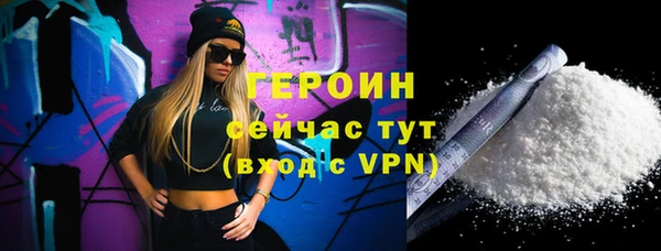 индика Дмитриев